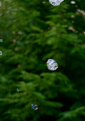 Bubble