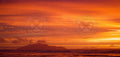Kapiti Supreme