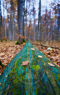 Blue Kayak